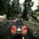 Скачать Need For Speed Rivals с Торрента