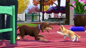 Скачать Sims 3 Питомцы Pets