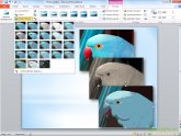 Microsoft Powerpoint 2010 Торрент