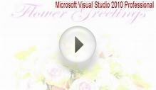Microsoft Visual Studio 2010 Professional Cracked