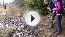 Самые популярные видео прошлой недели 04,06,2013