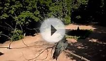 В хорошем качестве HD 720 Пацаны скачать торрент mp4